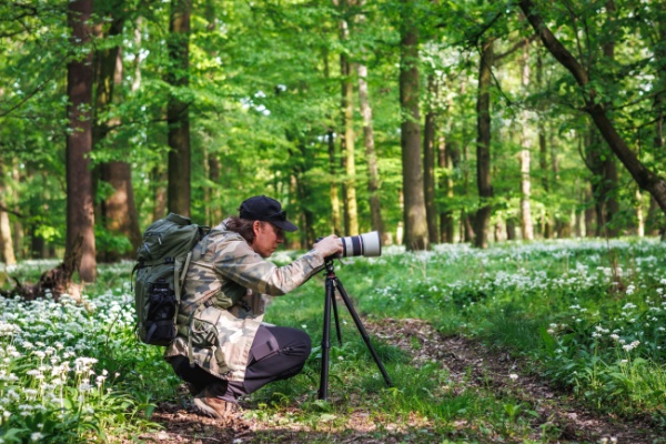 Photographe professionnel : attention au taux de TVA applicable !