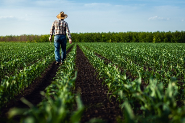 Agriculture et aides diverses : fixation des montants pour 2024